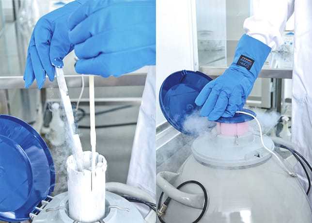 Liquid nitrogen | MycoLabs